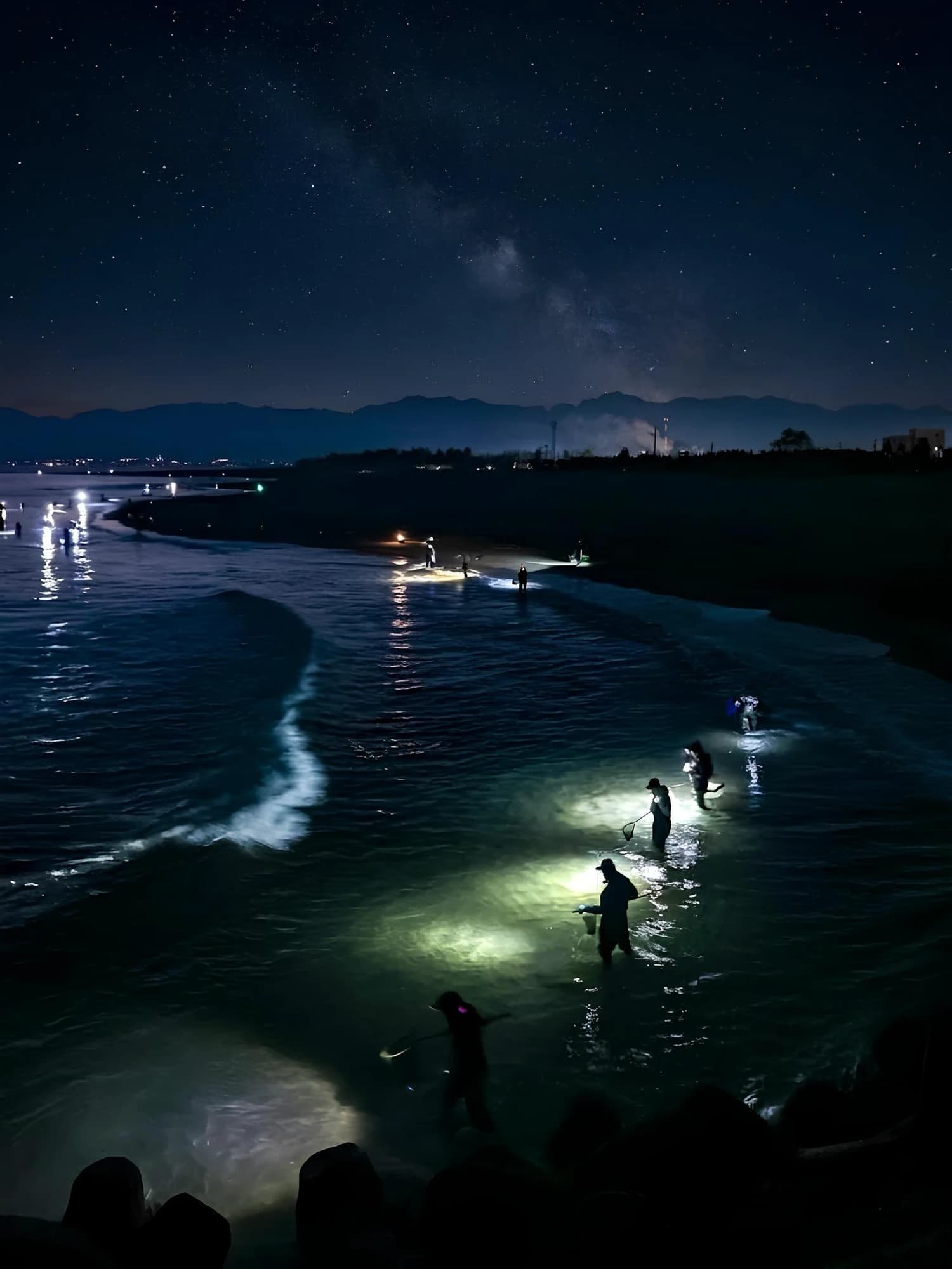夜の浅瀬で、ヘッドライトを付けた人たちがタモ網でホタルイカを掬っている様子